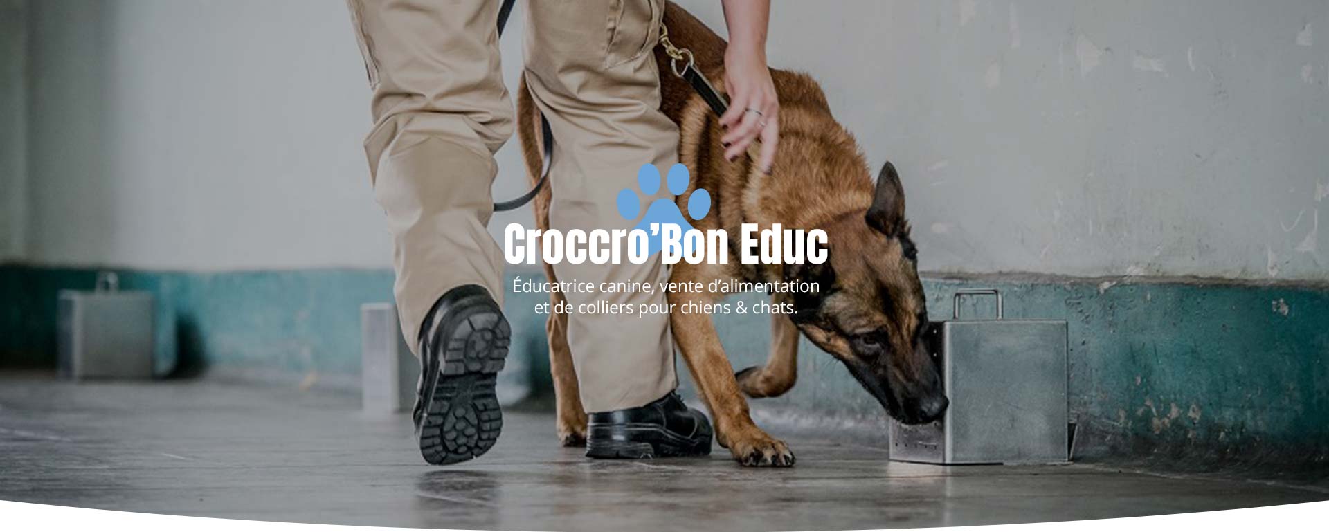 Pension canine éducative Carling