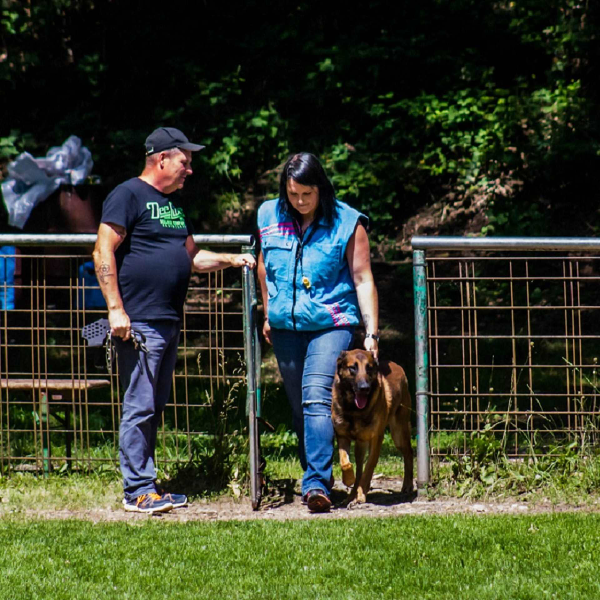 pension pour chien7